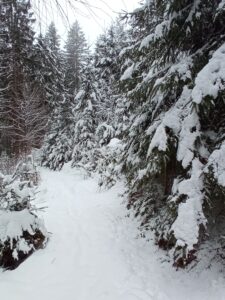 Winterlandschaft